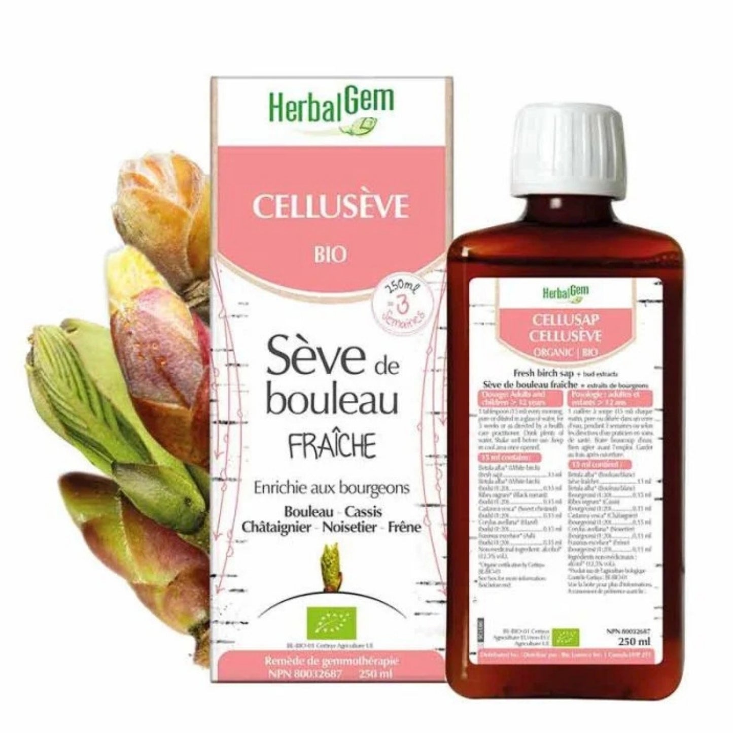 Herbalgem | Cellusève | 250ml